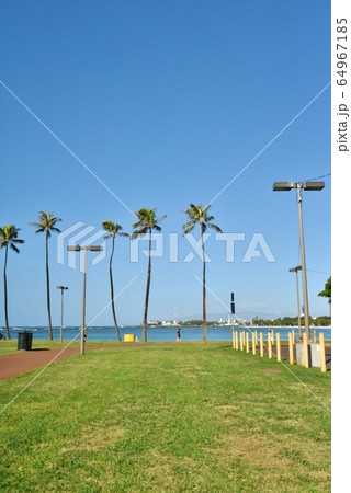 ハワイの休日 64967185