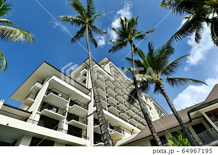 ハワイの休日 ハワイの休日 64967195