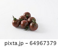 ブラッディタイガー 64967379