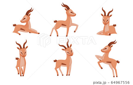 Impala Animal With Horns In Different Poses のイラスト素材