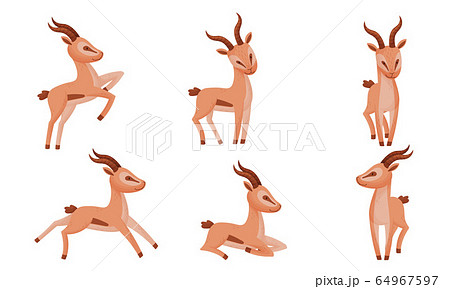 Impala Animal With Horns In Different Poses のイラスト素材