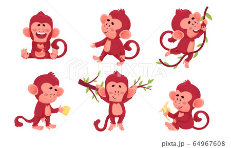 Funny Cartoon Monkey Swinging on Liana and Laughing Vector Set 64967608