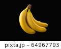 黒背景のバナナ 64967793