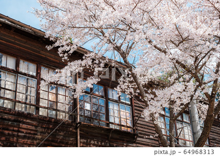 信級小学校（春） 64968313