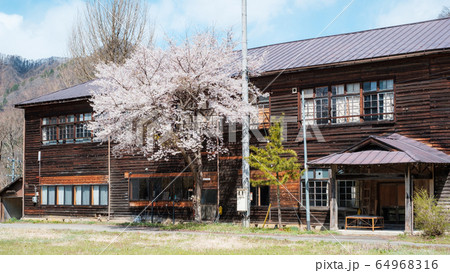 信級小学校(春) 信級小学校(春) 64968316