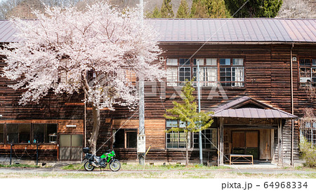 信級小学校（春） 64968334