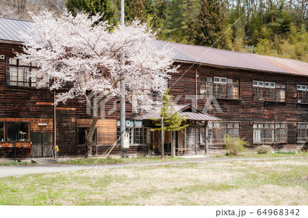 信級小学校（春） 64968342