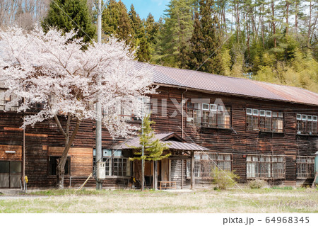 信級小学校（春） 64968345