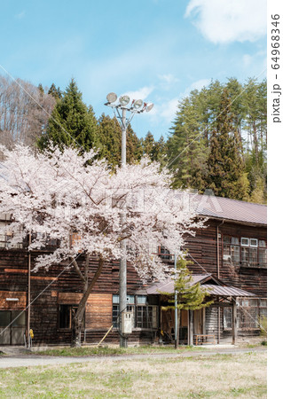 信級小学校（春） 64968346