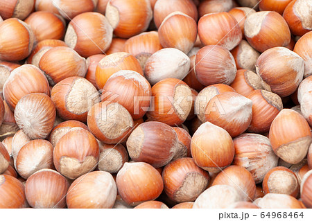 background of many hazelnuts. healthy natural concept 64968464