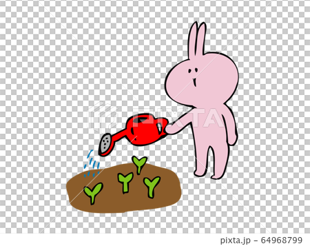 植物を育てるウサギ 64968799