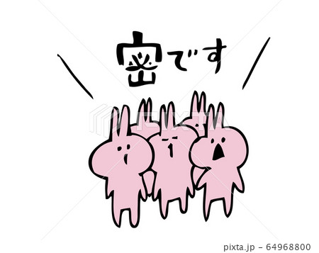 「密です」ウサギ 64968800