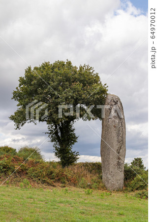 Menhir of Kergornec - megalithic monument in Brittany Menhir of Kergornec - megalithic monument in Brittany 64970012