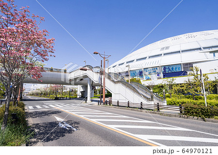 バンテリンドームナゴヤ  ナゴヤドームとハナミズキ 64970121