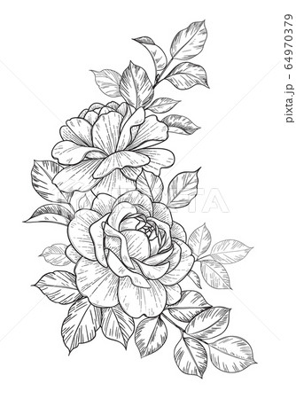 Hand Drawn Floral Bunch with Roses and Leaves Hand Drawn Floral Bunch with Roses and Leaves 64970379