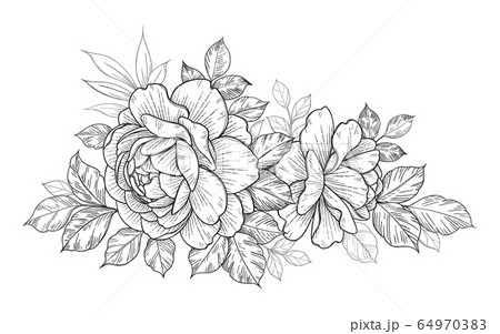 Hand Drawn Floral Bunch with Roses and Different Hand Drawn Floral Bunch with Roses and Different 64970383