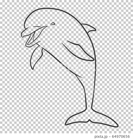 海豚 海豚 64970656
