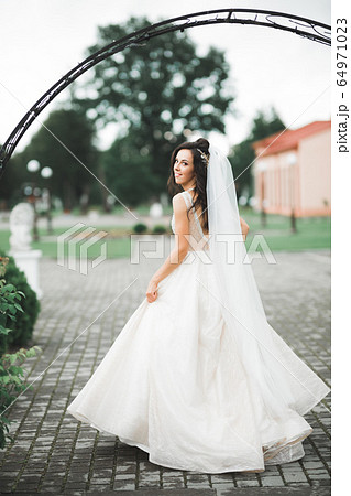 Beauty portrait of bride wearing fashion wedding dress with feathers with luxury delight make-up and hairstyle Beauty portrait of bride wearing fashion wedding dress with feathers with luxury delight make-up and hairstyle 64971023
