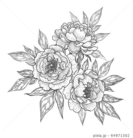 Hand Drawn Floral Bunch With Peony Flowers Andのイラスト素材