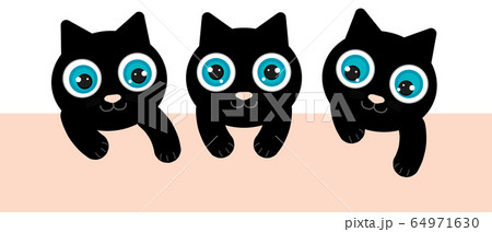 3 black kittens have blue eyes. They are playing 3 black kittens have blue eyes. They are playing 64971630