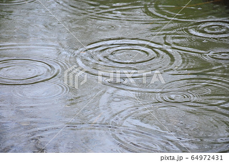 雨のメロディー 雨に依る水面の波紋 波紋の風景の写真素材