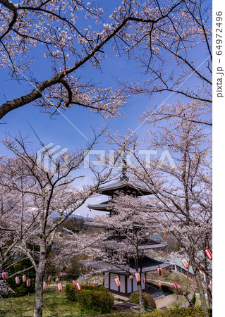 福島県二本松市　春の安達ヶ原ふるさと村　五重塔 64972496