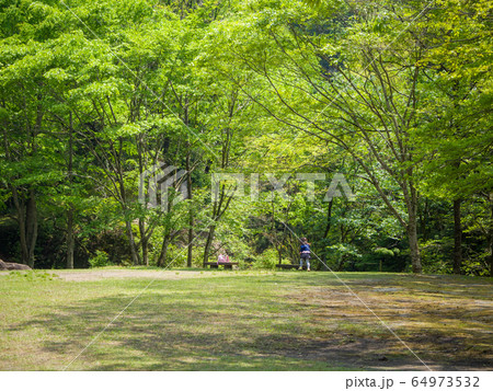 新緑の八菅山6 64973532