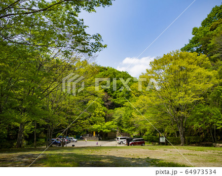 新緑の八菅山8 64973534