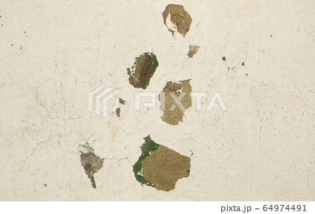 Wall paint peeling off due to moisture Wall paint peeling off due to moisture 64974491