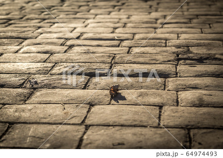 Stamped concrete pavement outdoor, cobblestones pattern, flooring exterior Stamped concrete pavement outdoor, cobblestones pattern, flooring exterior 64974493
