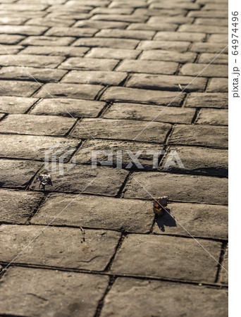 Stamped concrete pavement outdoor, mimics cobblestones pattern, decorative appearance colors and textures of paving cobble stone Stamped concrete pavement outdoor, mimics cobblestones pattern, decorative appearance colors and textures of paving cobble stone 64974496