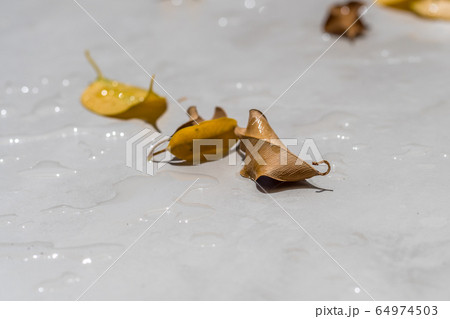 waterproof cement floor, concrete pavement, wet cement coating 64974503