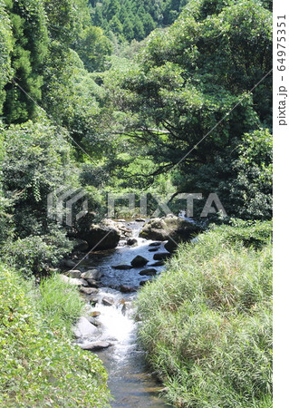 夏の小川 - 田舎の風景 64975351