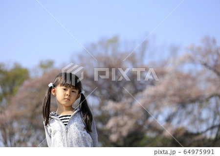 幼児(5歳児)と桜 幼児(5歳児)と桜 64975991
