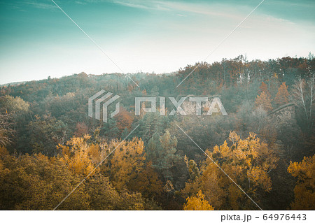 Multicolor Autumn Landscape Of Autumn Forest Multicolor Autumn Landscape Of Autumn Forest 64976443