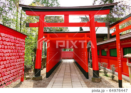 愛知県　犬山　三光稲荷神社 64976447