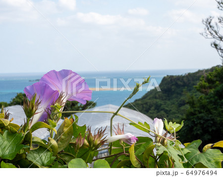 知念の海と空 南国の楽園 沖縄 知念の海と空 南国の楽園 沖縄 64976494