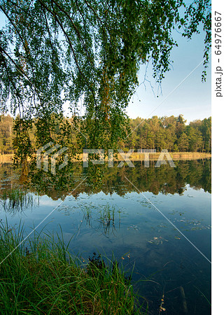 .Landscape with a forest lake in summer .Landscape with a forest lake in summer 64976667