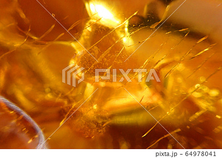 yellow amber texture 64978041