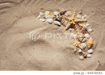 Summer beach. Sea sand with starfish and shells. 64978563