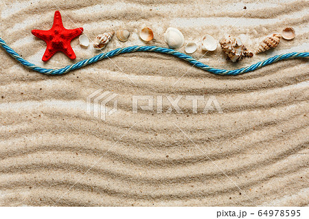 Seashell on beach sand with wave pattern, top 64978595