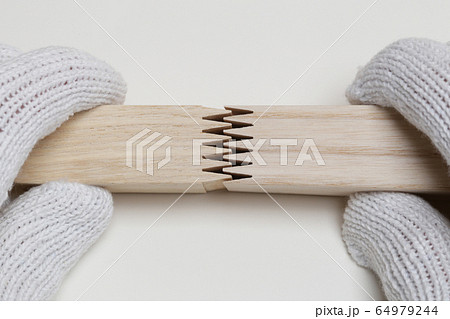 フィンガージョイント (集成材) フィンガージョイント (集成材) 64979244