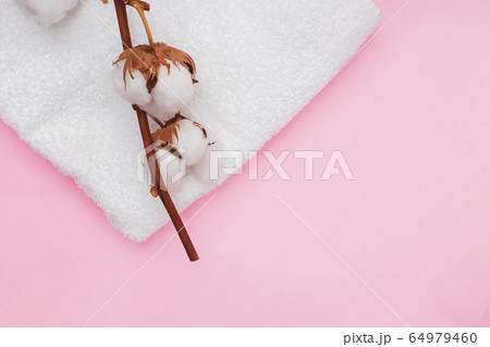 Clean white towels and branch of cotton on pink background 64979460