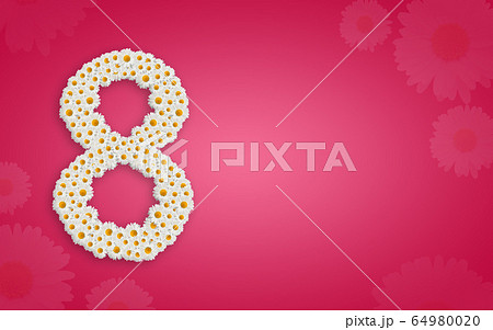 Purple Primula 64980020