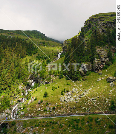 Summer landscape. Mountain stream. 64980039