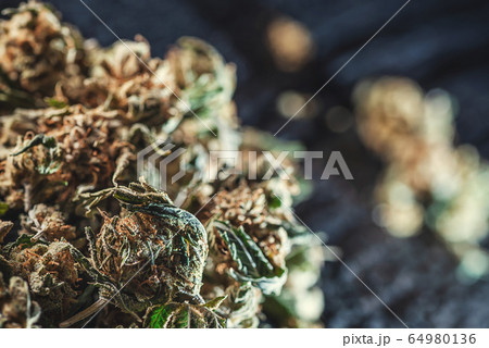 Medical marijuana products, dried bud, cbd marihuana Medical marijuana products, dried bud, cbd marihuana 64980136