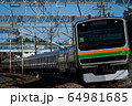 JR東日本E231系電車 64981685