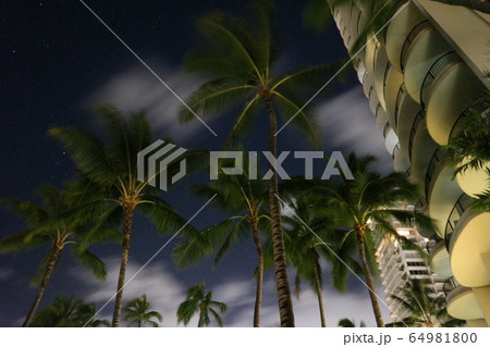 ヒルトンハワイアンビレッジの夜景 64981800