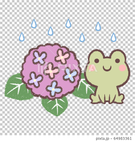 青蛙和繡球花和雨 64983361