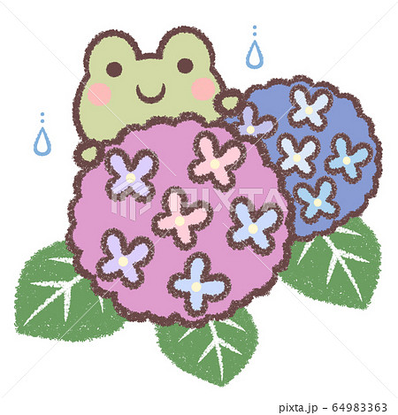 カエルとアジサイ 64983363